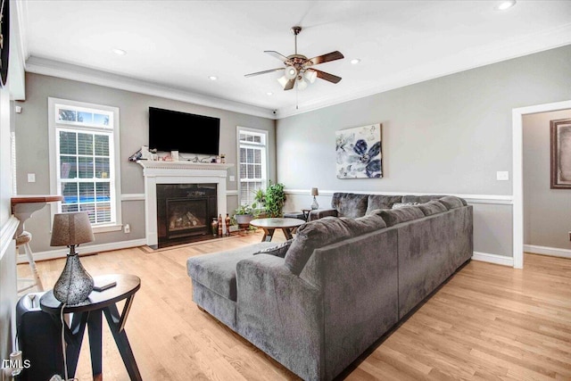 living room with light hardwood / wood-style floors, ceiling fan, and crown molding