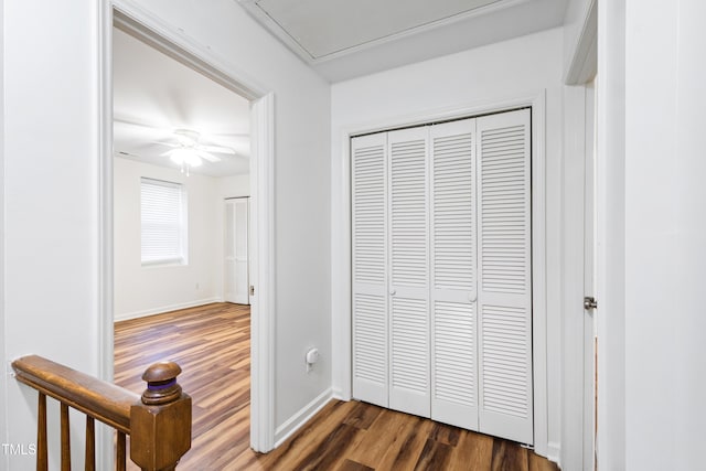1321 Dylan Heath Ct, Raleigh, NC 27608 - hall featuring dark wood finished floors and baseboards