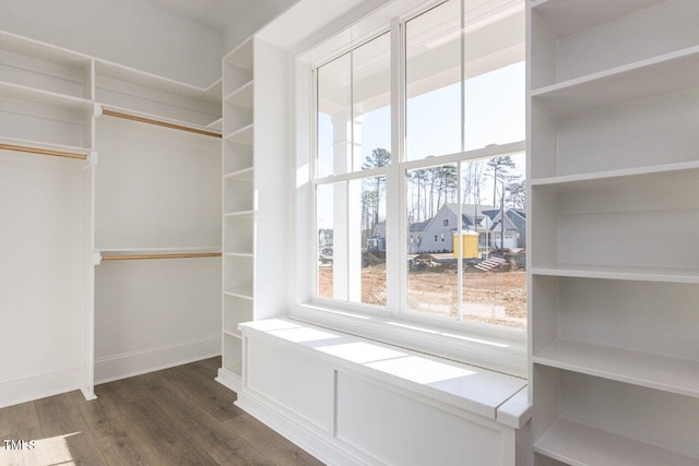 walk in closet with dark wood finished floors