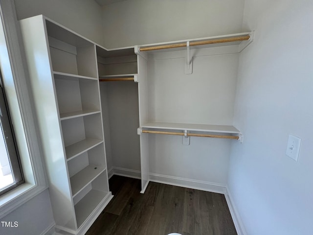 6040 Scalybark Rd, Durham, NC 27712 - walk in closet with dark wood-style floors