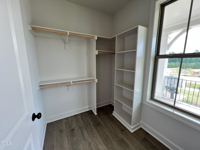6040 Scalybark Rd, Durham, NC 27712 - walk in closet with dark wood-style flooring