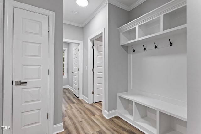 mudroom featuring wood-type flooring and ornamental molding