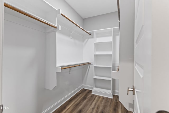 spacious closet featuring dark hardwood / wood-style floors