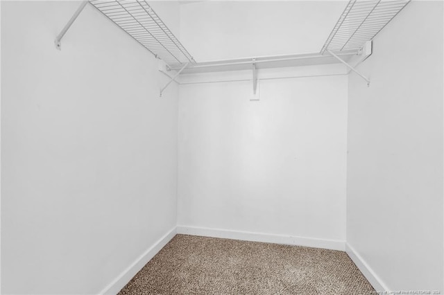 walk in closet featuring carpet floors