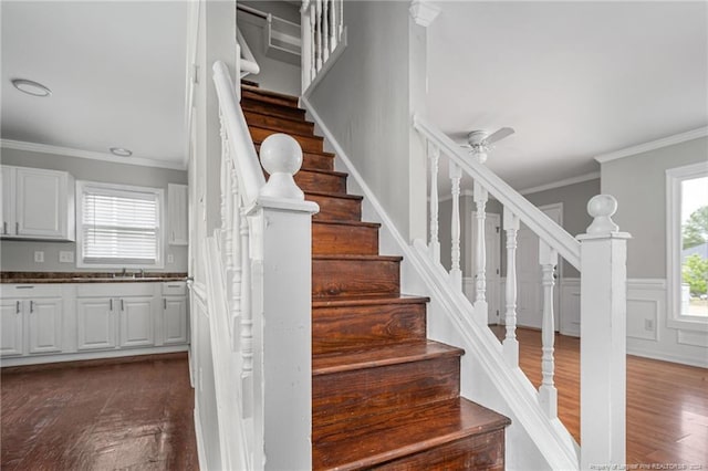 staircase featuring wood-type flooring, ceiling fan, crown molding, and sink