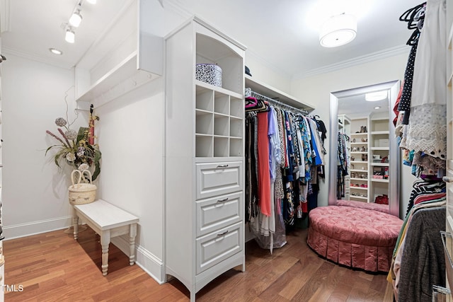 walk in closet with wood-type flooring