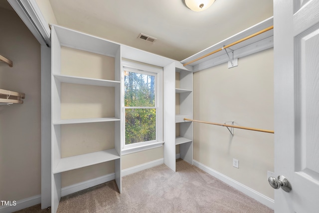 spacious closet with light colored carpet