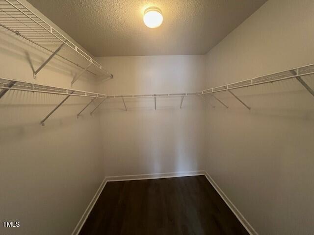 walk in closet with dark hardwood / wood-style floors