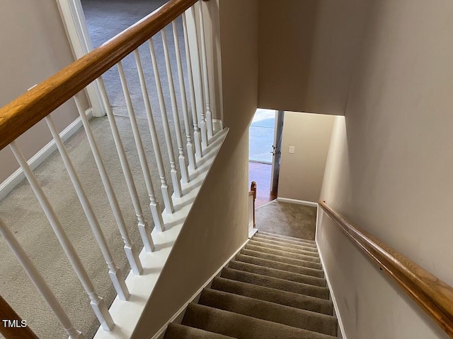 stairs featuring carpet floors