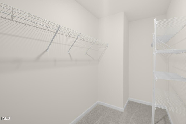 spacious closet featuring carpet floors