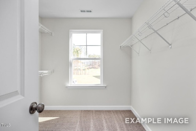 walk in closet featuring carpet