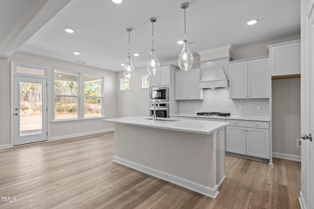 kitchen featuring a sink, stainless steel appliances, light countertops, premium range hood, and backsplash