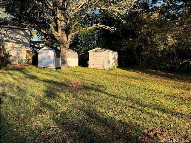 view of yard featuring a storage unit