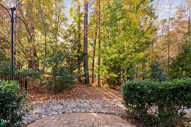 view of yard featuring a patio area