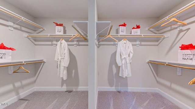 spacious closet featuring light colored carpet