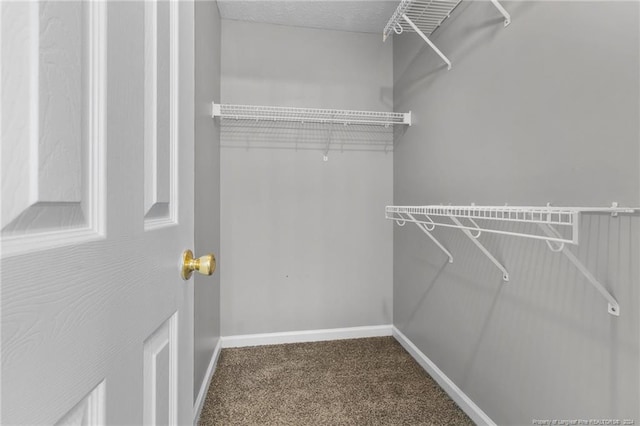 310 Interchange Dr, Fayetteville, NC 28311 - spacious closet with carpet