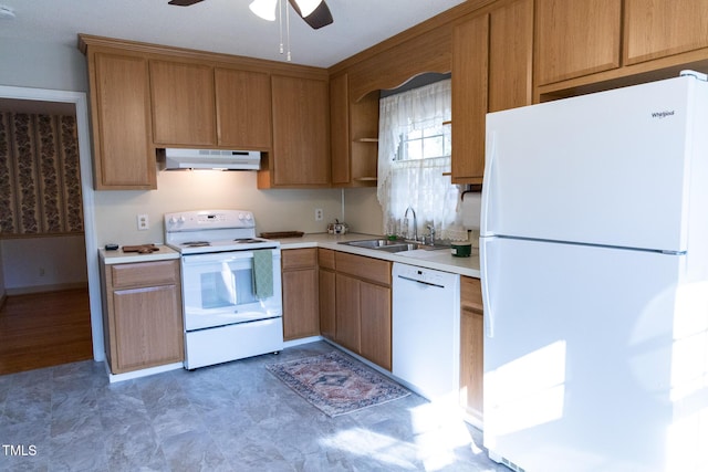 kitchen with ceiling fan, white appliances, and sink