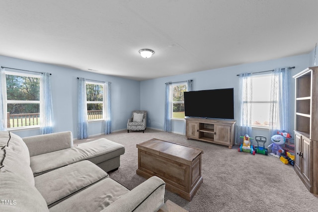 view of carpeted living room