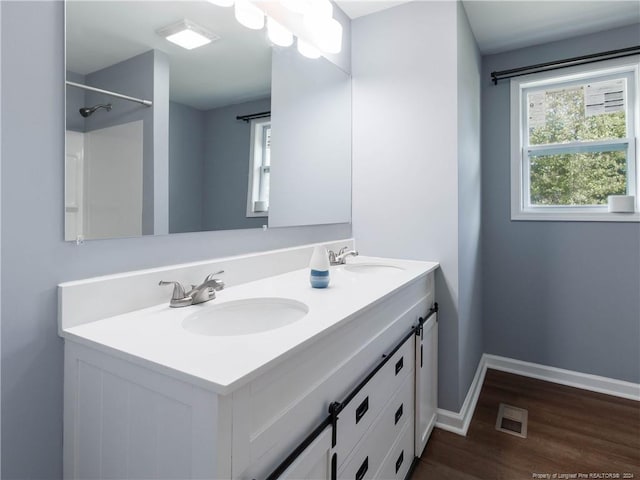 bathroom featuring wood-type flooring and vanity