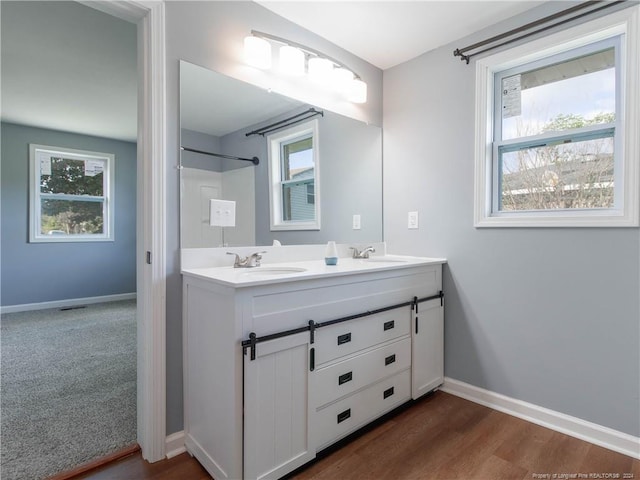 bathroom with a shower, hardwood / wood-style floors, vanity, and plenty of natural light