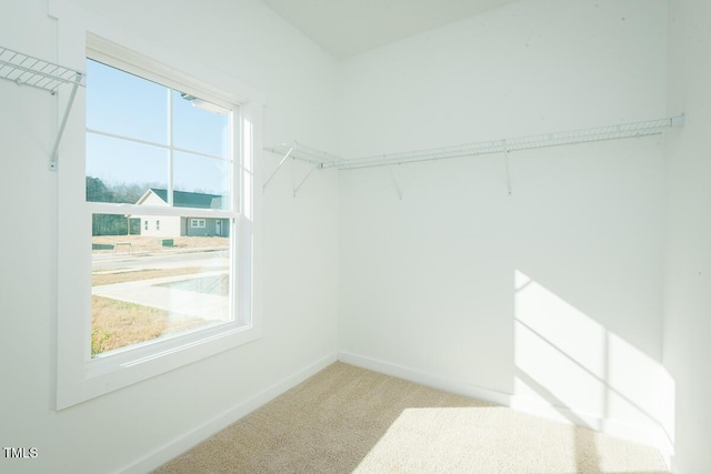 spacious closet featuring carpet floors