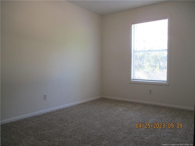 empty room with carpet flooring and a wealth of natural light