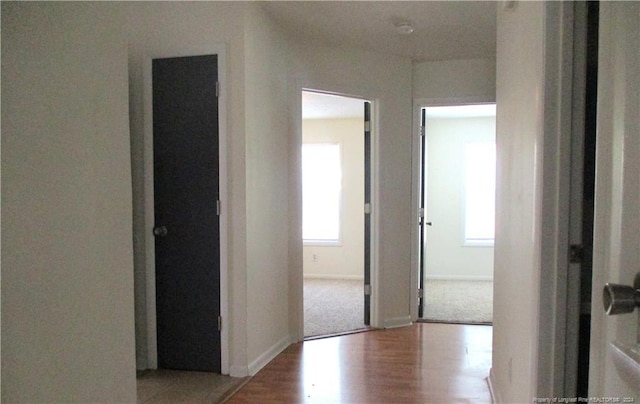 hallway with wood-type flooring