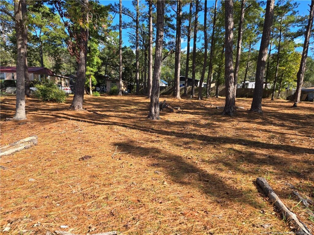 1641 Pine Valley Dr SW, Supply, NC 28462 - photo 1