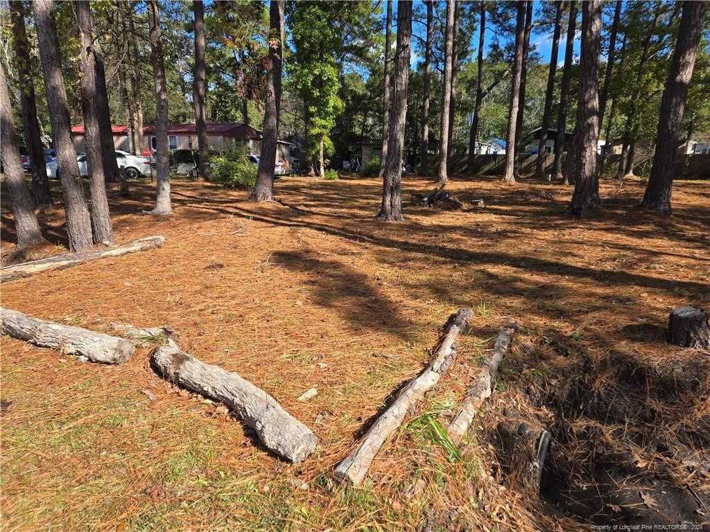 1641 Pine Valley Dr SW, Supply, NC 28462 - photo 2