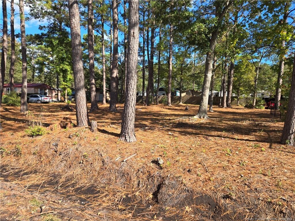 1641 Pine Valley Dr SW, Supply, NC 28462 - photo 3