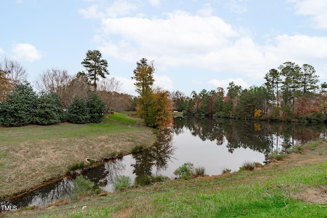 view of water feature