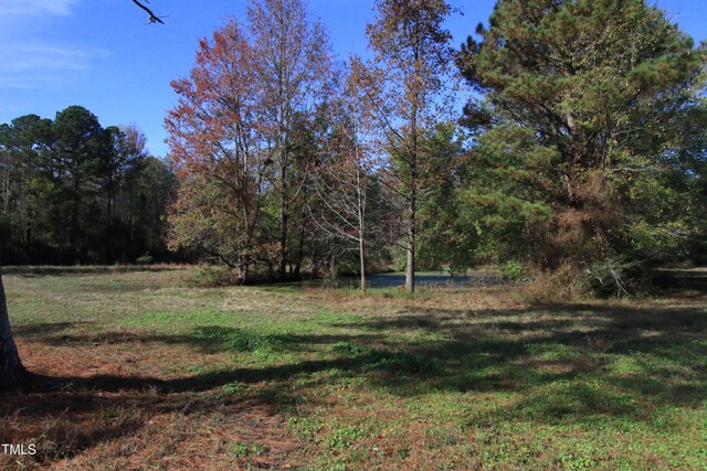 0 Cedar Lane Rd, Sanford, NC 27332 - photo 10