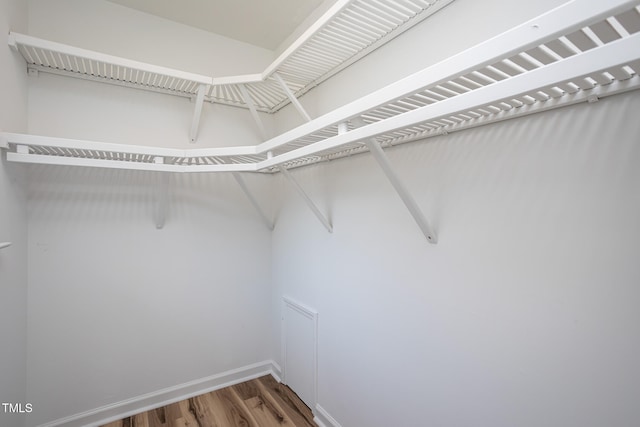 walk in closet with wood-type flooring