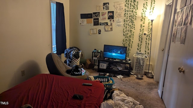 bedroom with carpet flooring