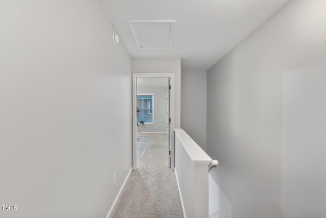 hallway featuring light colored carpet