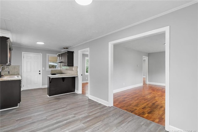 kitchen with decorative backsplash, crown molding, light wood-type flooring, and sink