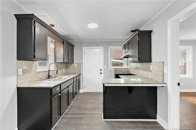 kitchen with crown molding, sink, and light hardwood / wood-style flooring