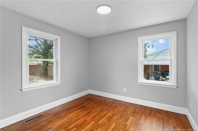 spare room featuring plenty of natural light and wood-type flooring