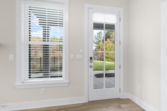 doorway with hardwood / wood-style floors and plenty of natural light