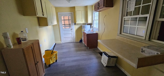 kitchen featuring dark hardwood / wood-style flooring and sink