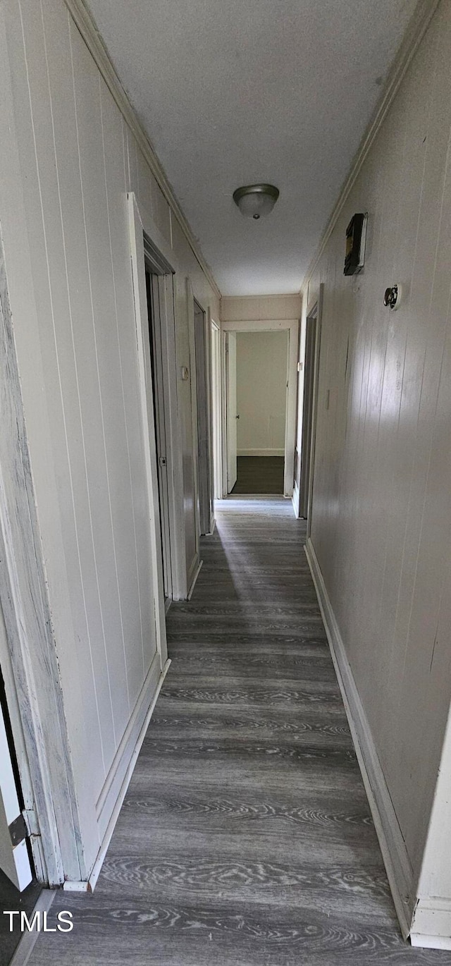 hallway with wooden walls, dark hardwood / wood-style floors, and ornamental molding