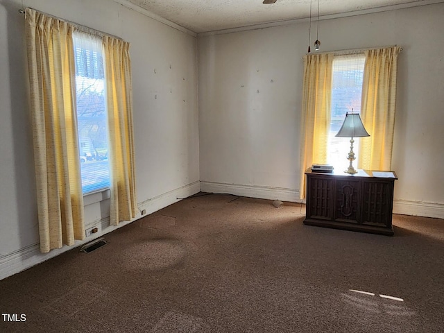 unfurnished room featuring plenty of natural light, carpet floors, and a textured ceiling