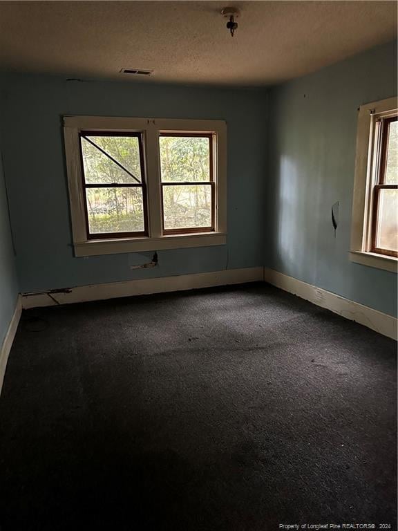 carpeted empty room featuring a textured ceiling and a wealth of natural light