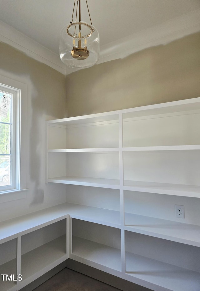 3341 Colby Chase Dr, Apex, NC 27539 - view of pantry