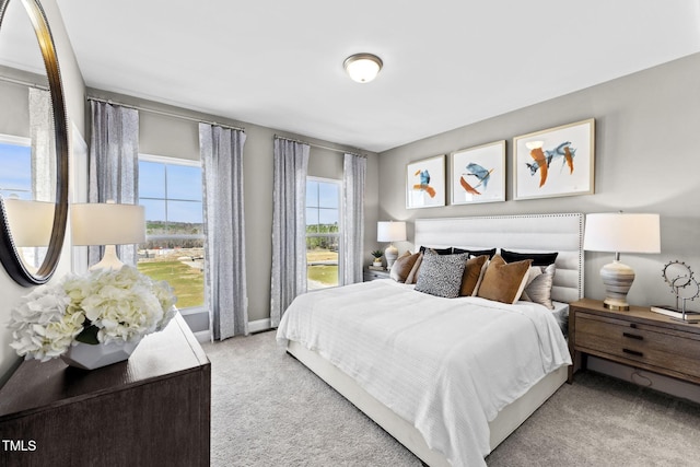 1510 Village Hall Ln Lot 44, Wake Forest, NC 27587 - carpeted bedroom featuring baseboards
