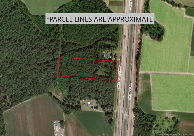 Cedar Grove Church Rd, Saint Pauls, NC 28384 - photo 1