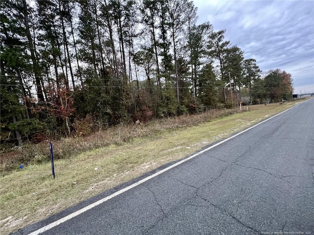 Cedar Grove Church Rd, Saint Pauls, NC 28384 - photo 3