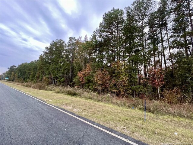 Cedar Grove Church Rd, Saint Pauls, NC 28384 - photo 4