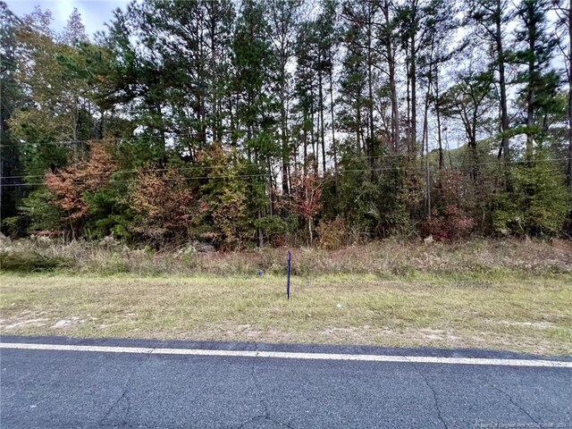 Cedar Grove Church Rd, Saint Pauls, NC 28384 - photo 5