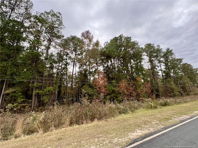 Cedar Grove Church Rd, Saint Pauls, NC 28384 - photo 6